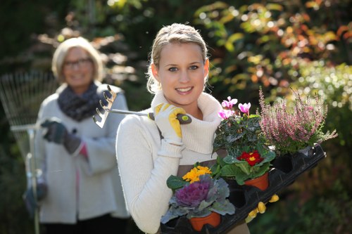 Effective strategies for efficient garden clearance