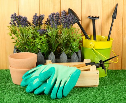 Professional garden maintenance services