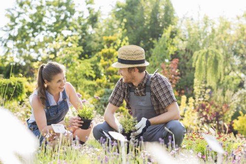 Professional landscape care with eco-friendly practices