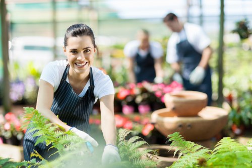 Cost-effective professional lawn care services