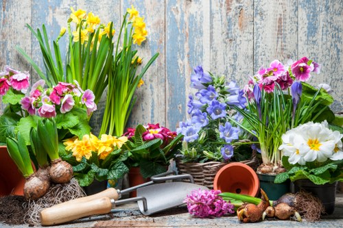 Eco-friendly lawn care practices by a landscaper